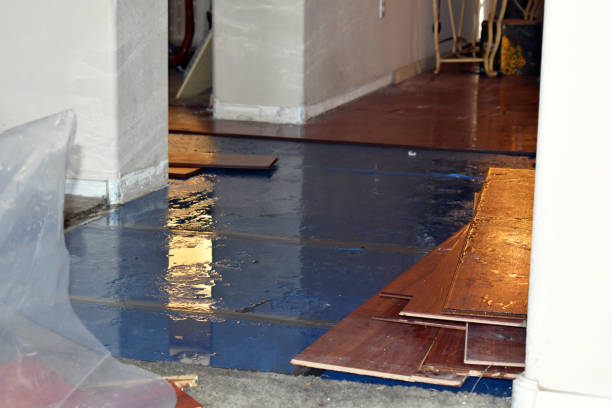 Professional Basement Flood Cleanup technician working in East Bernard, TX